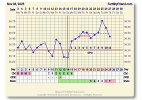 Screenshot_20251127-072253_FF App.png