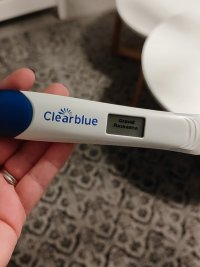 IMG_20251127_204951.jpg IMG_20251127_204951.jpg