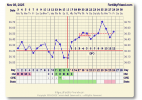 Screenshot_20251128-073034_FF App.png