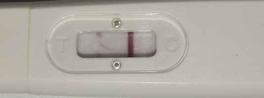 1000081719.jpg 1000081719.jpg