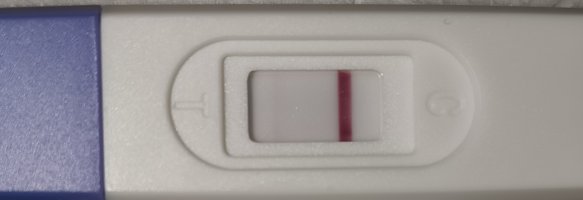 1000081722.jpg 1000081722.jpg