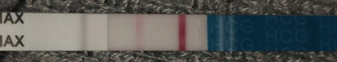 1000081721.jpg 1000081721.jpg