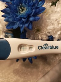 IMG_20251207_083521.jpg IMG_20251207_083521.jpg