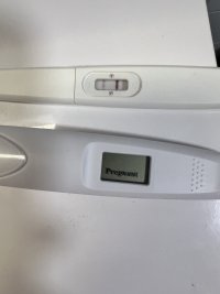 IMG_9443.jpeg IMG_9443.jpeg