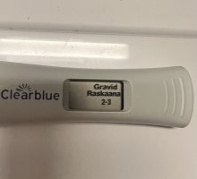 IMG_9485.jpeg IMG_9485.jpeg