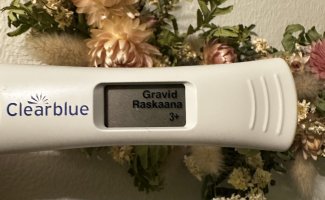 IMG_4392.jpeg IMG_4392.jpeg