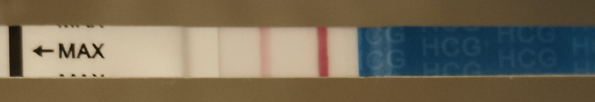 1000081796.jpg 1000081796.jpg