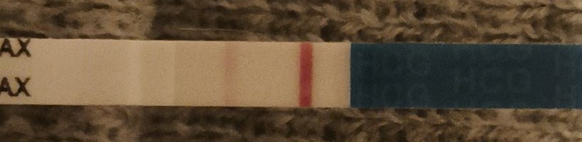 1000081797.jpg 1000081797.jpg