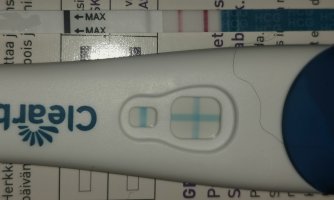 1000081795.jpg 1000081795.jpg