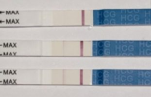 Screenshot_20251209_151402_Gallery.jpg Screenshot_20251209_151402_Gallery.jpg