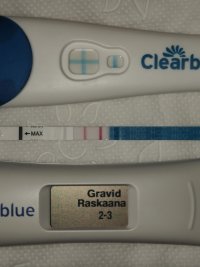 1000081816.jpg 1000081816.jpg