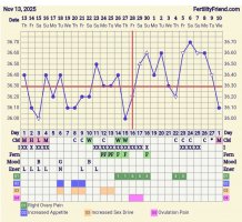 Screenshot_20251210_060718_FF App.jpg