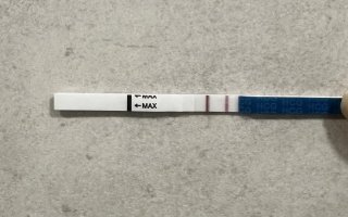 IMG_2300.jpeg IMG_2300.jpeg