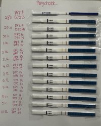 IMG_2301.jpeg IMG_2301.jpeg