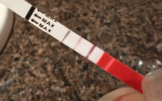 1000037008.jpg 1000037008.jpg