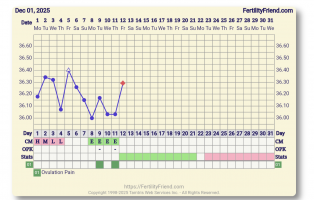 Screenshot_20251212-073813_FF App.png