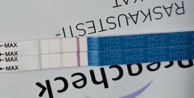 20251216_064040.jpg 20251216_064040.jpg