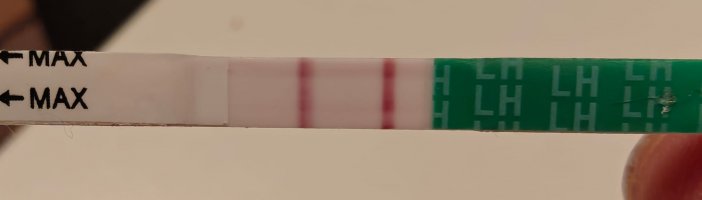 Image 2025-12-20.jpeg