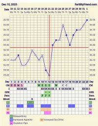 Screenshot_20260101_094016_FF App.jpg