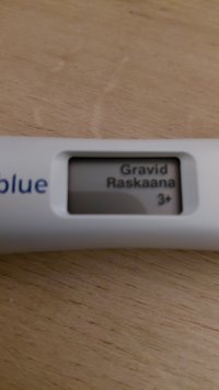 1000048332.jpg 1000048332.jpg