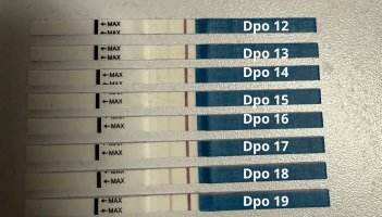 Lisää alaotsikko.jpeg