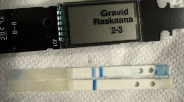 IMG_1467.jpeg IMG_1467.jpeg