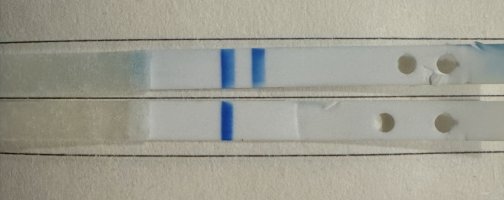 IMG_1466.jpeg IMG_1466.jpeg