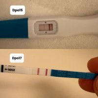 copy_5CDCB25F-8B0E-470D-88BB-9548D966C88E.jpeg copy_5CDCB25F-8B0E-470D-88BB-9548D966C88E.jpeg