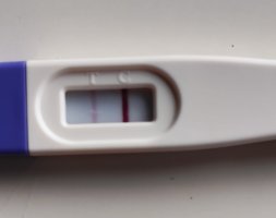 1000047661.jpg 1000047661.jpg