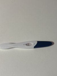 IMG_1334.jpeg