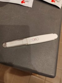 WhatsApp Image 2026-03-31 at 16.37.22.jpeg