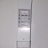 20260401_060703.jpg