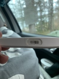 IMG_4449.jpeg IMG_4449.jpeg