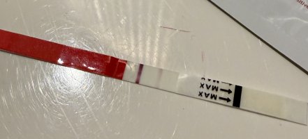 IMG_1313.jpeg