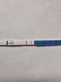 20260409_180707.jpg 20260409_180707.jpg