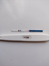 IMG_20260410_093332.jpg
