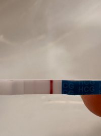 IMG_1345.jpeg