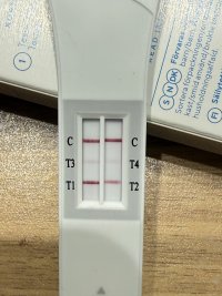 IMG_0281.jpeg IMG_0281.jpeg