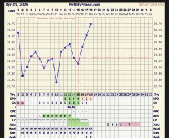 IMG_0045.jpeg
