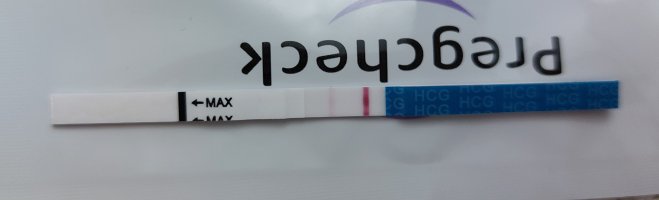1000045220.jpg