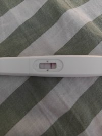 99584.jpg