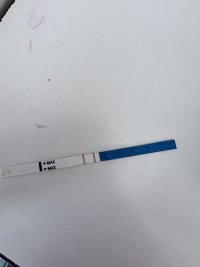 IMG_0411.jpeg