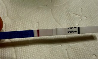 IMG_4107.jpeg