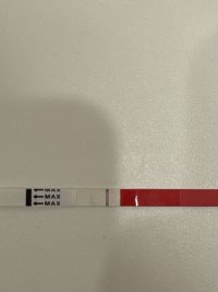 IMG_E641F9AA-A122-414E-A771-4F4C499DBEEA.jpeg