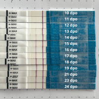 testit10-24 (1).png