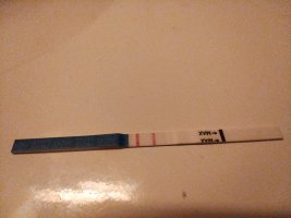 IMG_20260503_165011645.jpg