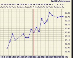 IMG_5827.jpeg