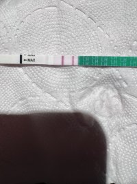 IMG_0104.jpeg