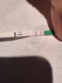 IMG_0105.jpeg