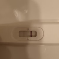 1000052346.jpg